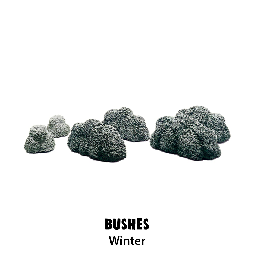 Winter Bushes