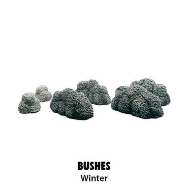 Winter Bushes
