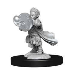 Pathfinder Mini (W14): Male Halfling Wizard
