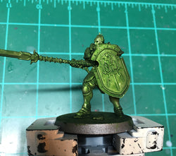 Dirty Down Effect Paint: Moss