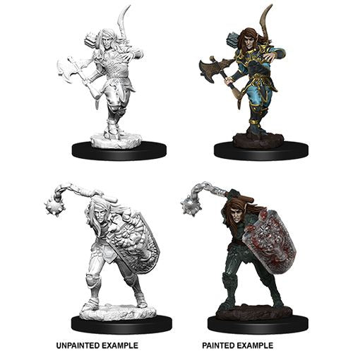 Pathfinder Mini (W06): Male Elf Fighter