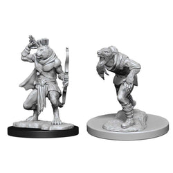 D&D Mini (W11): Wererat & Weretiger