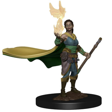 D&D Premium Painted Mini: Female Elf Druid