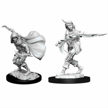 Pathfinder Mini (W14): Female Human Rogue