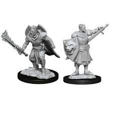 Pathfinder Mini (W14): Male Human Champion