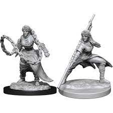 D&D Mini (W14): Female Human Monk
