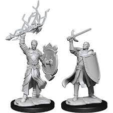D&D Mini (W14): Male Half-Elf Paladin