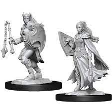 D&D Mini (W14): Female Kalashtar Cleric