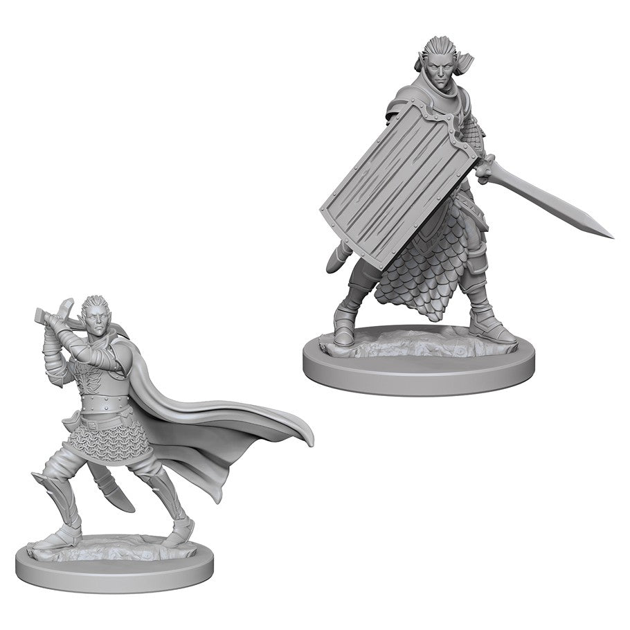 D&D Mini (W02): Male Elf Paladin