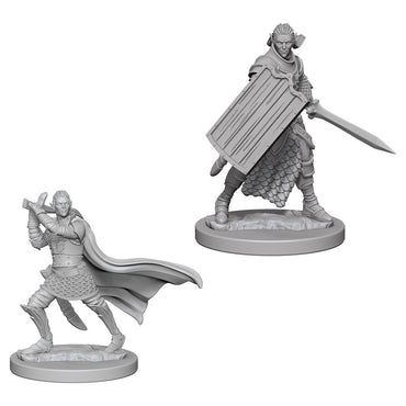 D&D Mini (W02): Male Elf Paladin