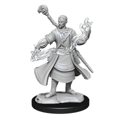 D&D Mini (W14): Male Half-Elf Wizard