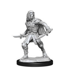 D&D Mini (W14): Warforged Rogue
