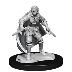 D&D Mini (W14): Female Half-Elf Rogue