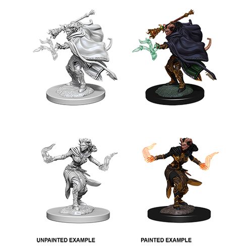 D&D Mini (W06): Female Tiefling Warlock