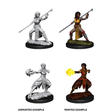 D&D Mini (W10): Female Half-Elf Monk
