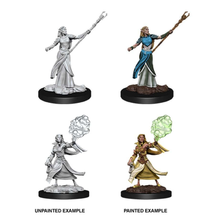 D&D Mini (W12): Female Elf Sorcerer