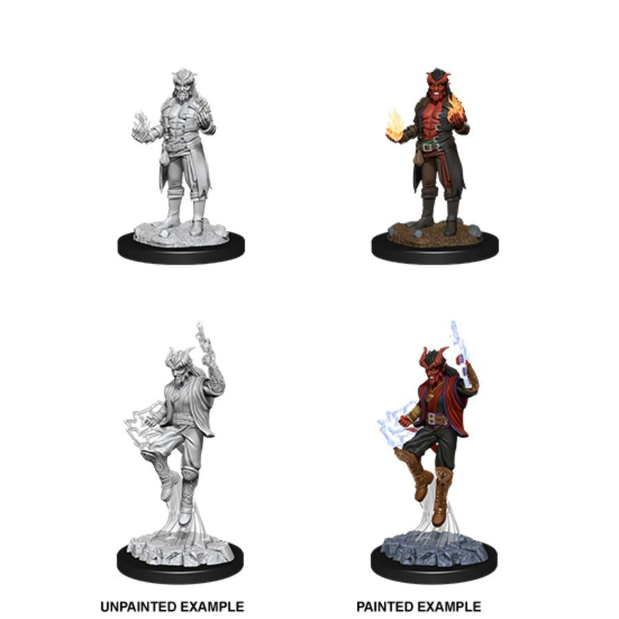 D&D Mini (W12): Male Tiefling Sorcerer