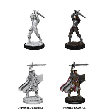 D&D Mini (W12): Male Human Paladin