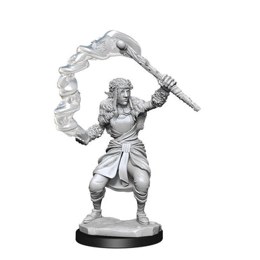 D&D Mini (W13): Female Firbolg Druid