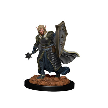D&D Painted Mini (W2): Male Elf Cleric