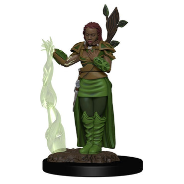 D&D Painted Mini (W2): Female Human Druid