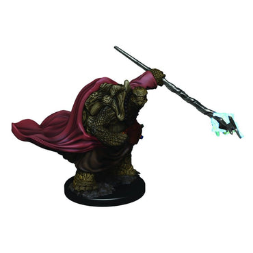 D&D Painted Mini (W03): Male Tortle Monk