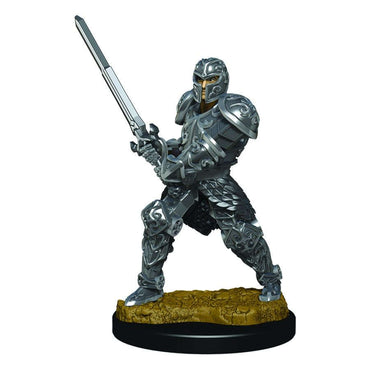 D&D Painted Mini (W03): Male Human Fighter