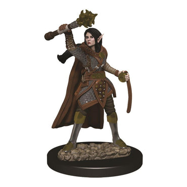 D&D Painted Mini (W03): Female Elf Cleric