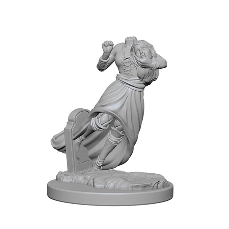 D&D Nolzur's Ghost & Banshee Mini (W1)