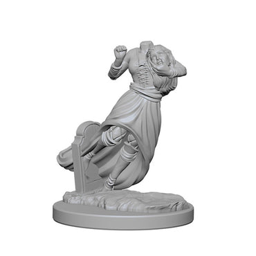 D&D Nolzur's Ghost & Banshee Mini (W1)