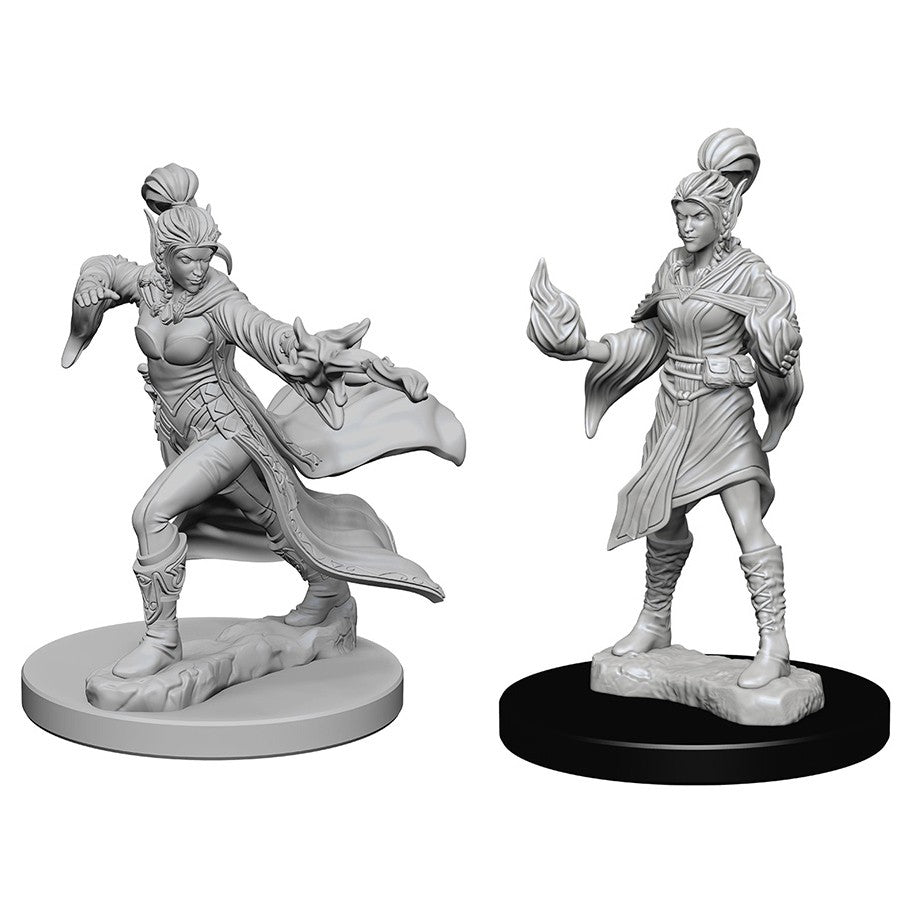 Pathfinder Mini (W01): Female Elf Sorcerer