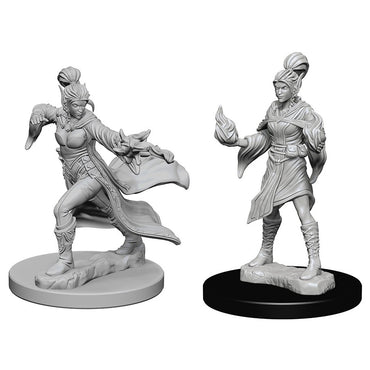 Pathfinder Mini (W01): Female Elf Sorcerer