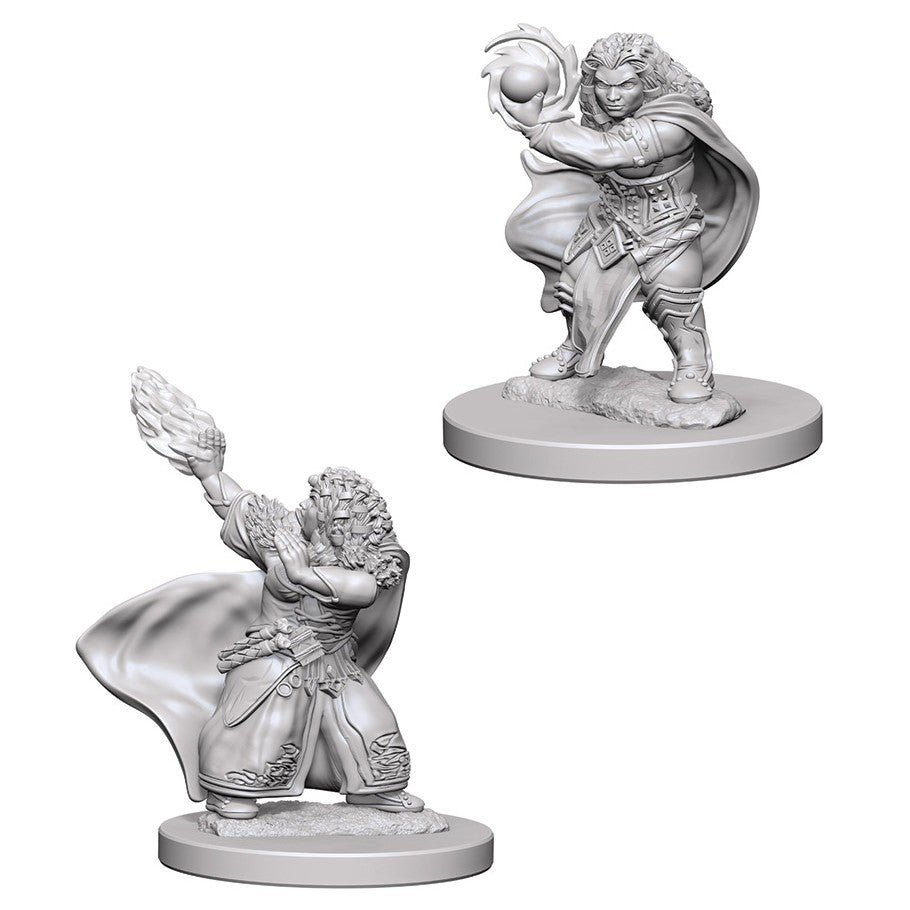 D&D Mini (W04): Female Dwarf Wizard