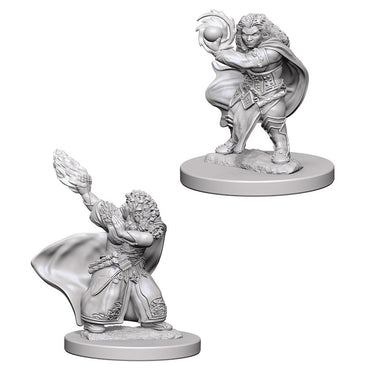 D&D Mini (W04): Female Dwarf Wizard