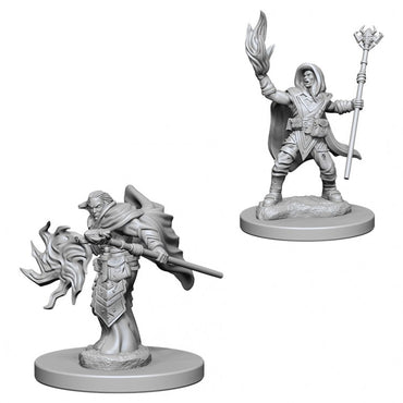 D&D Mini (W02): Male Elf Wizard