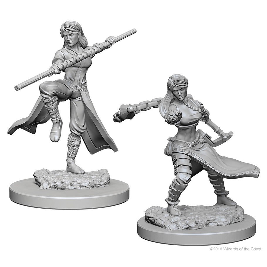 D&D Mini (W01): Female Human Monk