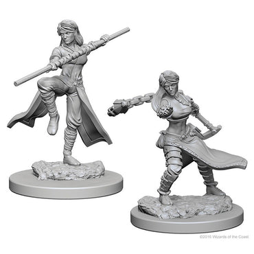 D&D Mini (W01): Female Human Monk