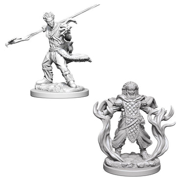 D&D Mini (W03): Male Human Druid