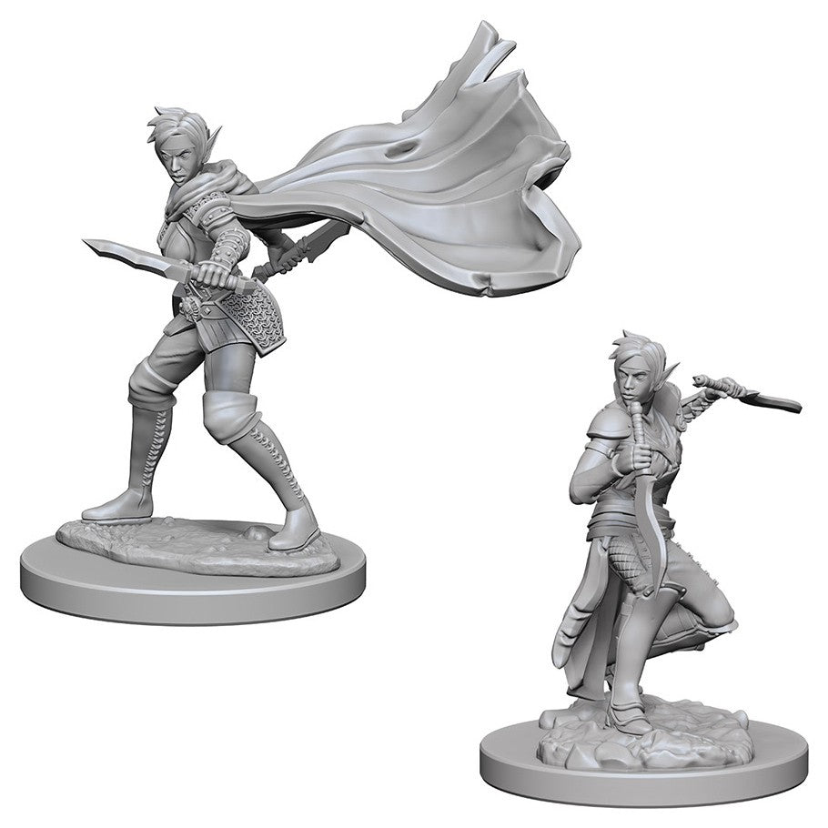 PF Elf Female Rogue
