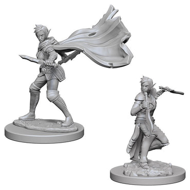 PF Elf Female Rogue