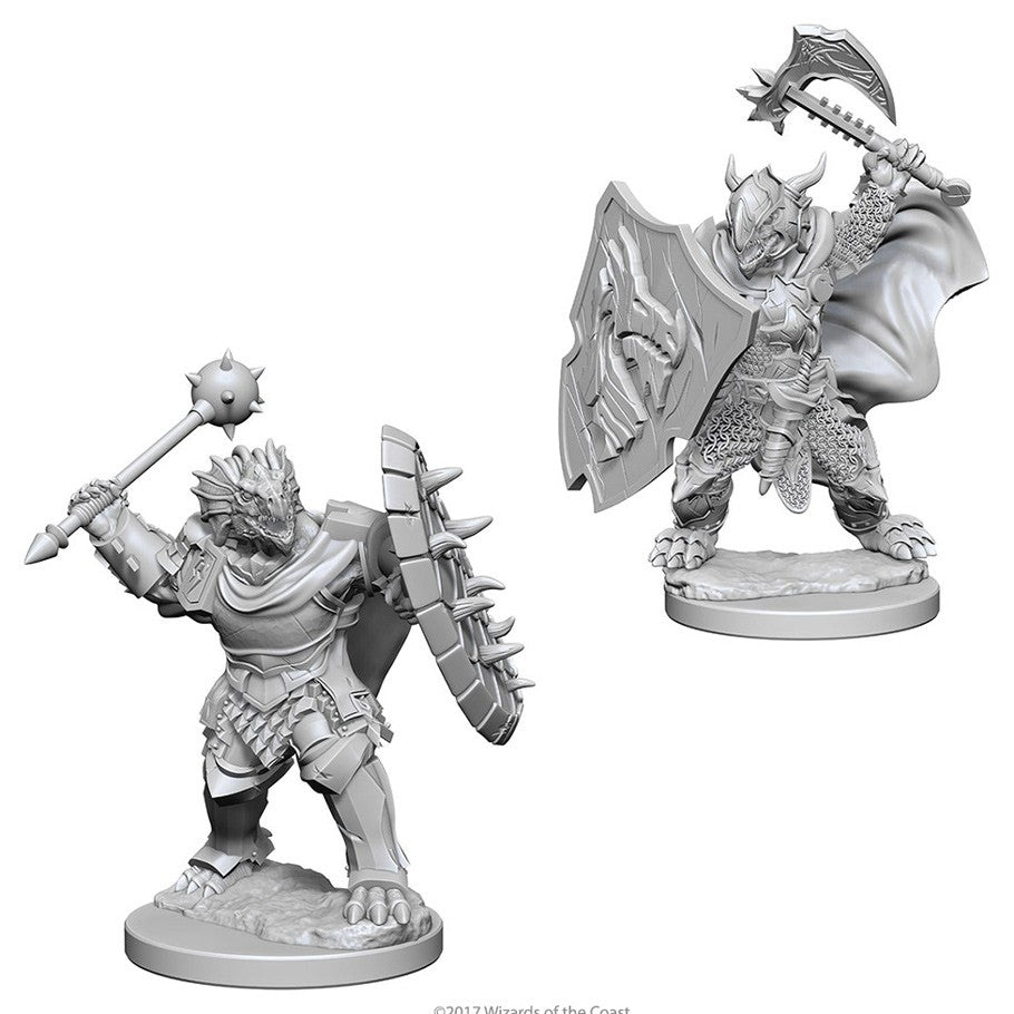 D&D Mini (W04): Male Dragonborn Paladin