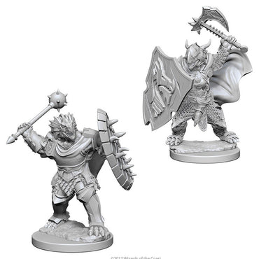 D&D Mini (W04): Male Dragonborn Paladin