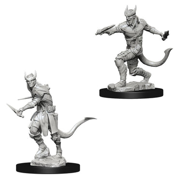 D&D Mini (W05): Male Tiefling Rogue