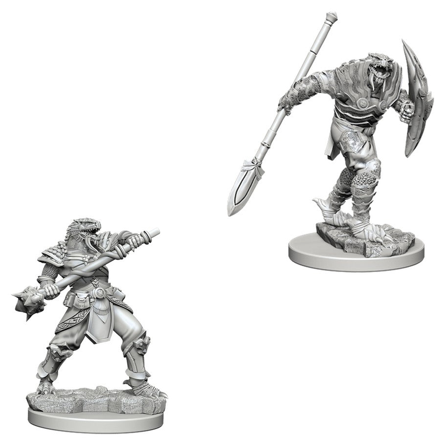 D&D Mini (W05): Male Dragonborn Fighter