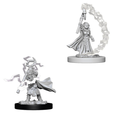 Pathfinder Mini (W05): Female Gnome Sorcerer