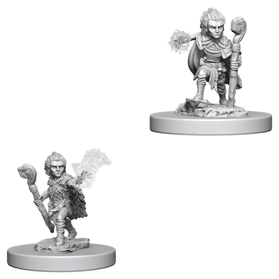 Pathfinder Mini (W05): Male Gnome Druid