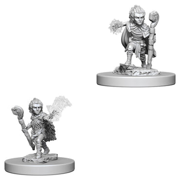 Pathfinder Mini (W05): Male Gnome Druid