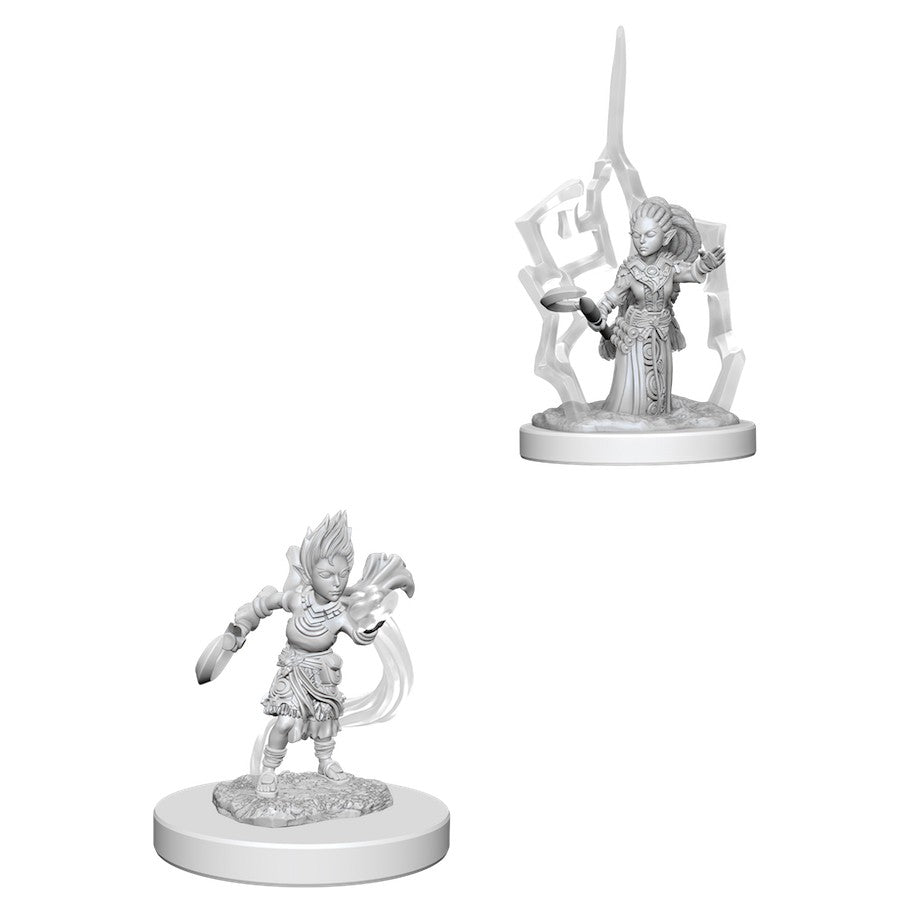 Pathfinder Mini (W05): Female Gnome Druid