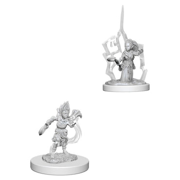 Pathfinder Mini (W05): Female Gnome Druid