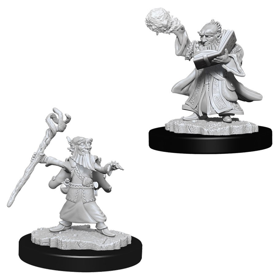 Pathfinder Mini (W06): Male Gnome Wizard